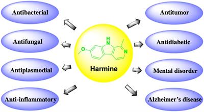 Research progress on the antitumor effects of harmine